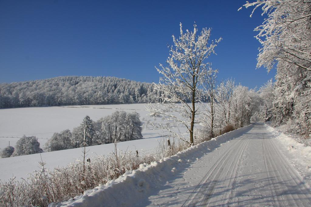 Fewo Alte Schule Willingen  Bagian luar foto