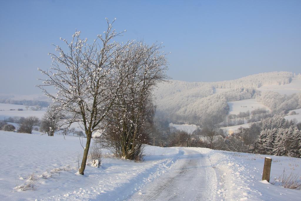 Fewo Alte Schule Willingen  Bagian luar foto